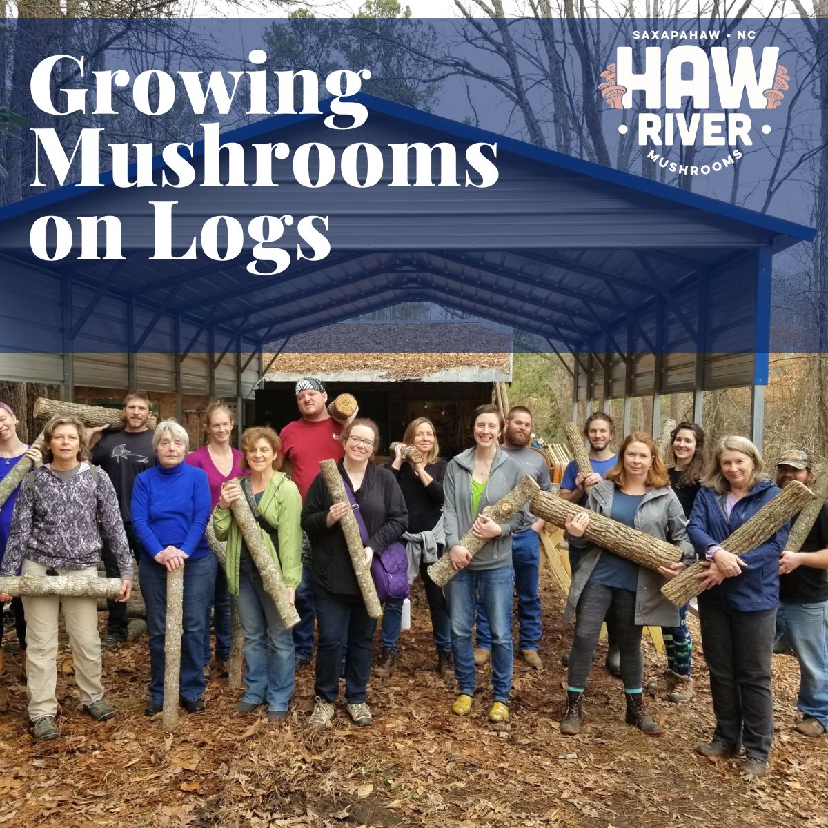 Growing Mushrooms on Logs 2/14/26 PM Session