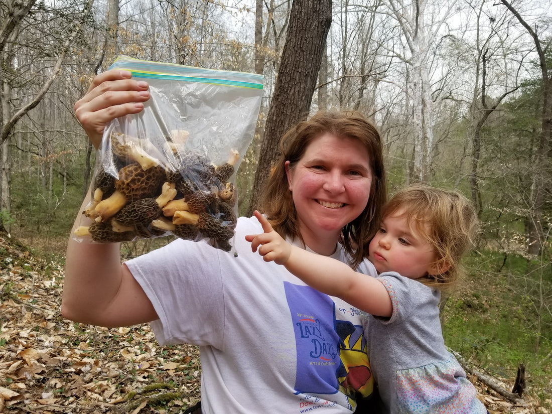 Morel Mushrooms: History, Lore, and our Obsession