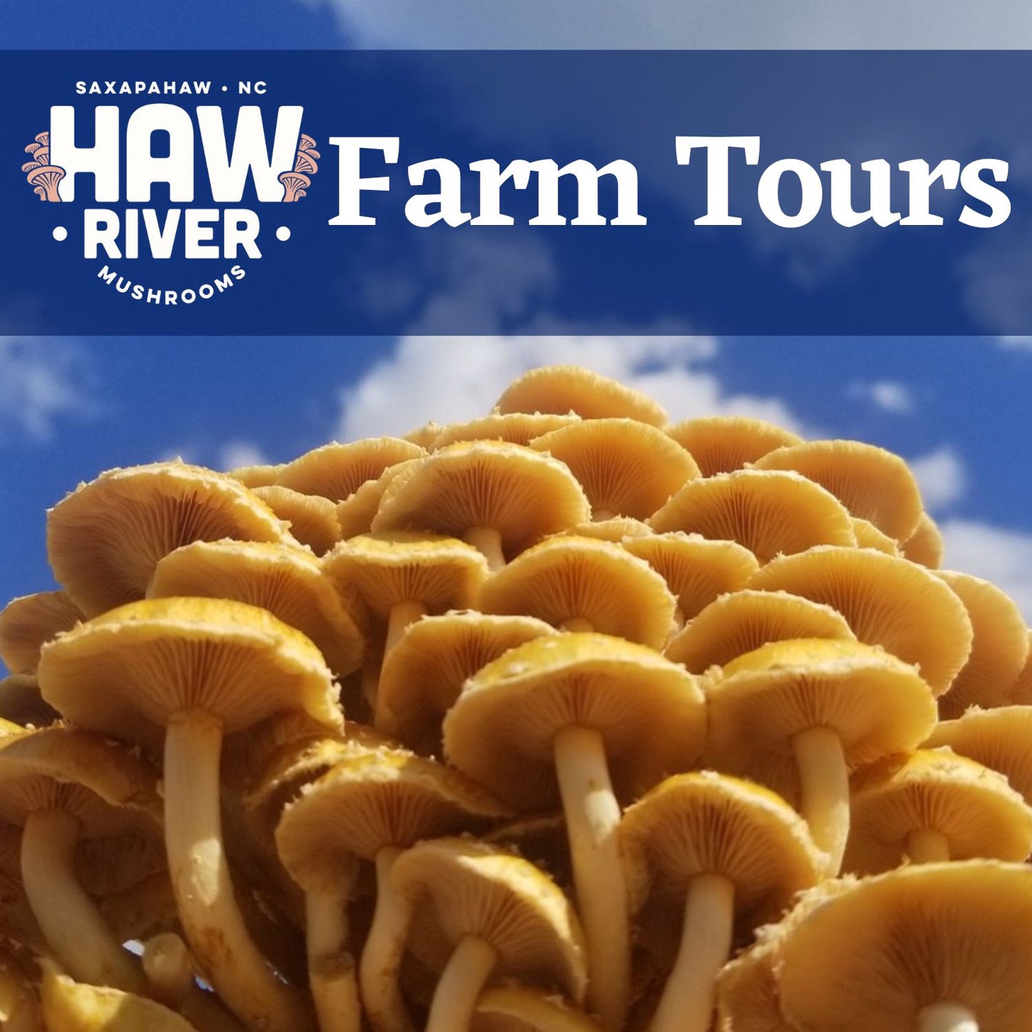 Farm Tour 5/26/25