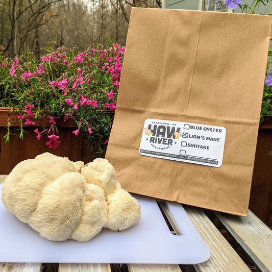 1lb Lion's Mane Mushrooms