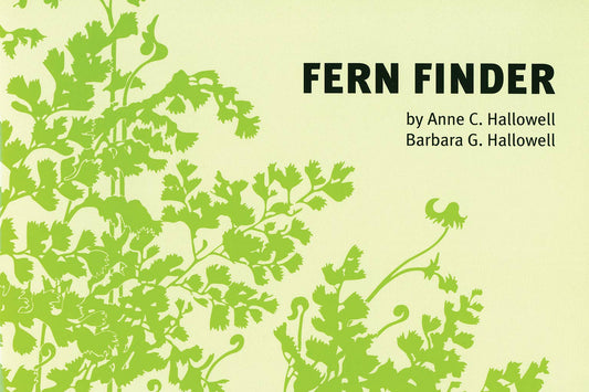 Fern Finder Eastern