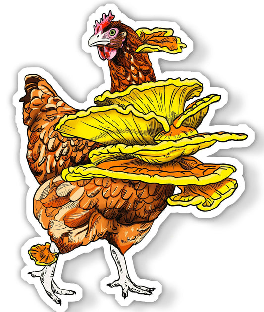Chicken of the Woods Sticker