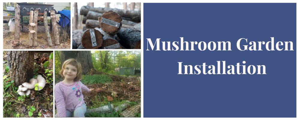 Mushroom Garden Installation