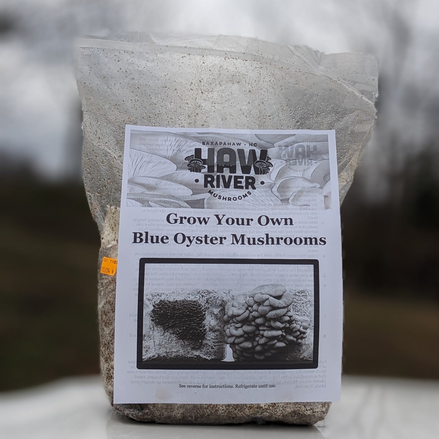 Grow Your Own Blue Oyster Mushrooms, 5lb bag
