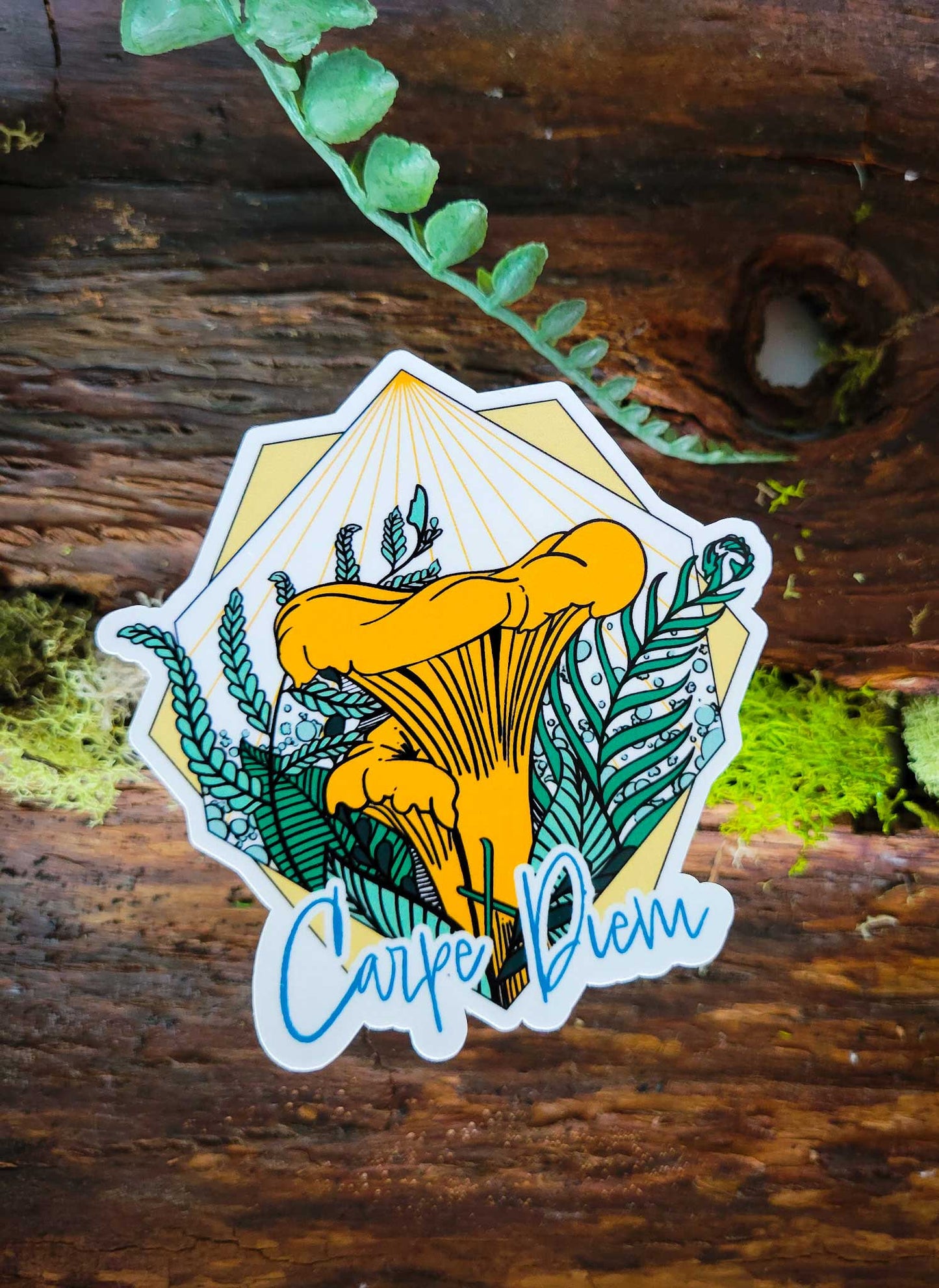 Carpe Diem Chanterelle | Cute Mushroom Sticker