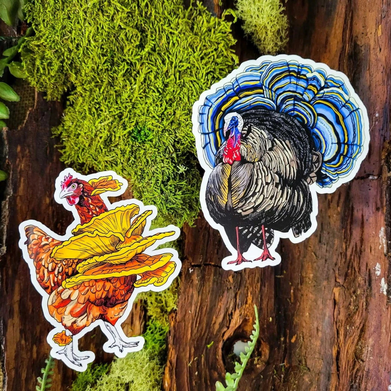 Chicken of the Woods Sticker